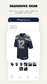Screenshot image