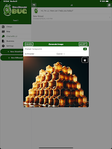 Screenshot image