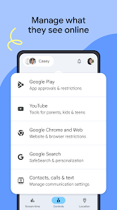 Screenshot image