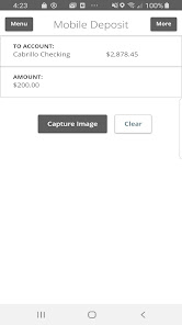 Screenshot image